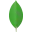 MongoDB icon